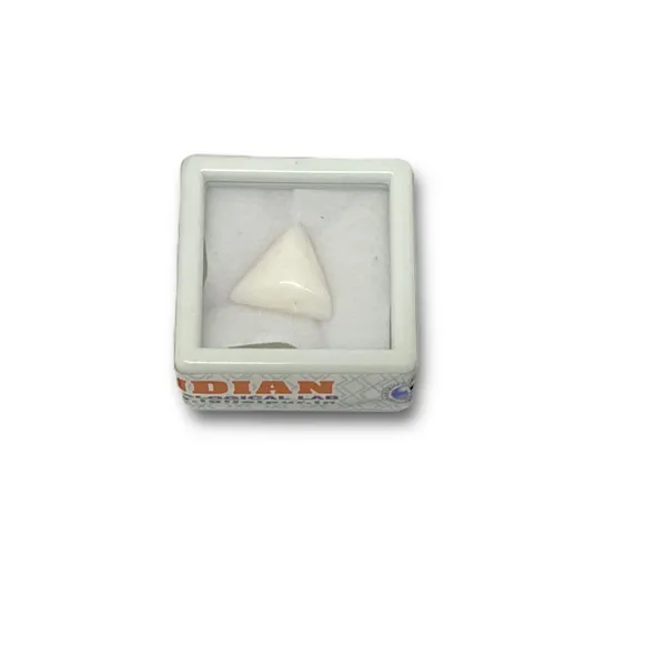 Certified_White_Coral_(Munga)