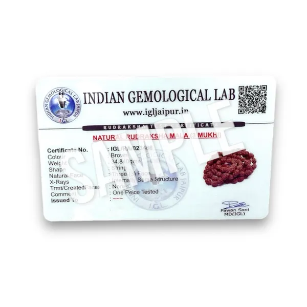 3_MUKHI_RUDHRAKSH_MALA_LAB_CERTIFIED