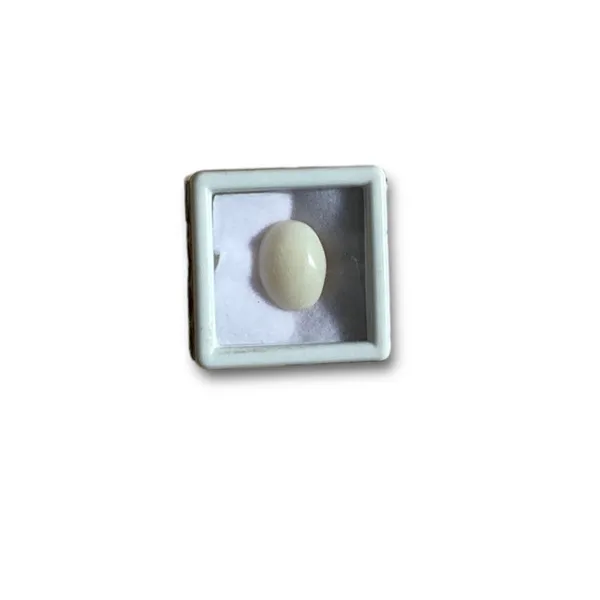 Certified_Opal