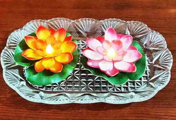 Set_Of_6Pcs__Prokart_Artificial_Floting_Lotus_Flower_Shep_Water_Surface_For_Home_&_Office_D?cor_Lotus_Flower_Natural_Looking_For_Pool_And_Home_Decoration_(17CM)_Multicolor