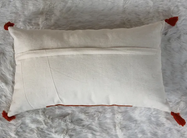 Pack_of_2_Pieces_Cotton_Rust_Paradise_Velvet_With_Tassel_Collection_Cushion_and_Pillow_Cover_for_Living_Room_and_Bedroom