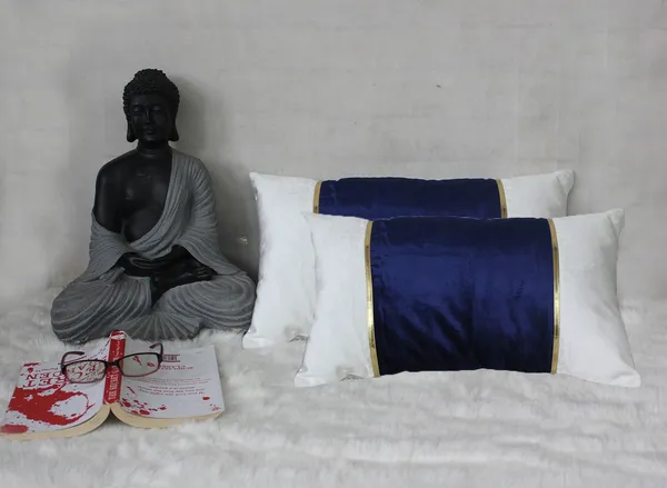 Pack_of_2_Pieces_Cotton_Blue_Ariel_Velvet_Collection_Cushion_and_Pillow_Cover_for_Living_Room_and_Bedroom