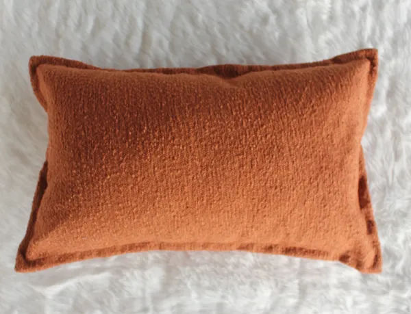 Pack_of_2_Pieces_Polyester_Rust_Delta_Boucle_Collection_Cushion_and_Pillow_Cover_for_Living_Room_and_Bedroom