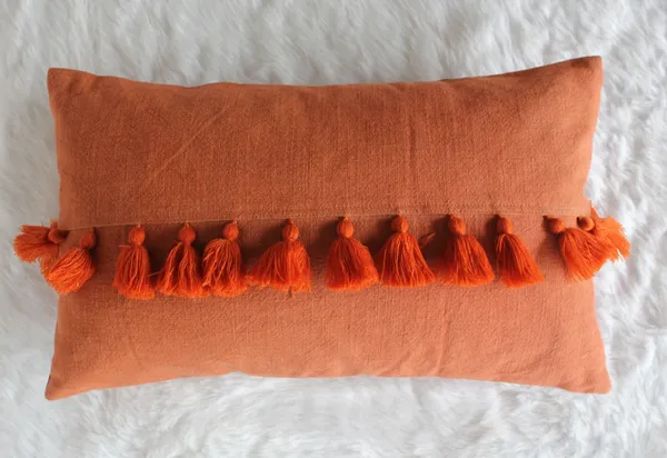 Pack_of_2_Pieces_Cotton_Rust_Merit_Cotton_Tassel_Collection_Cushion_and_Pillow_Cover_for_Living_Room_and_Bedroom