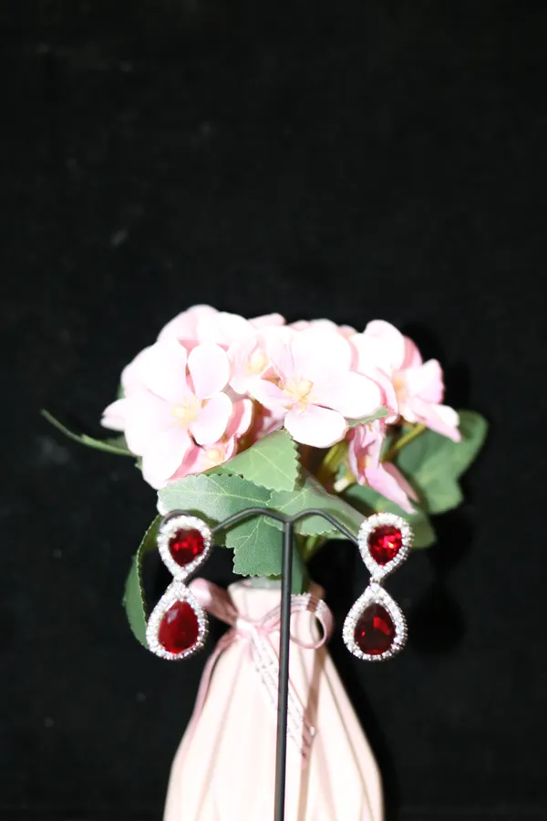 AD_EARING_WITH_RED_STONE
