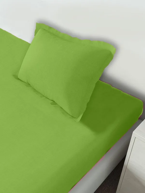 Sage_Sleeping_Owls_210_TC_100%_Cotton_Solid_Single_Bedsheet_with_1_Pillow_Cover_(152_cm_x_229_cm)
