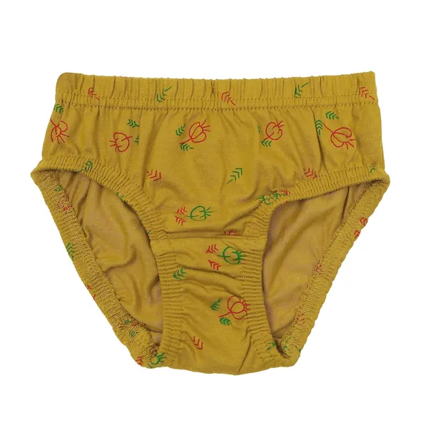 Multicolor_Cotton_Panties_For_Girl