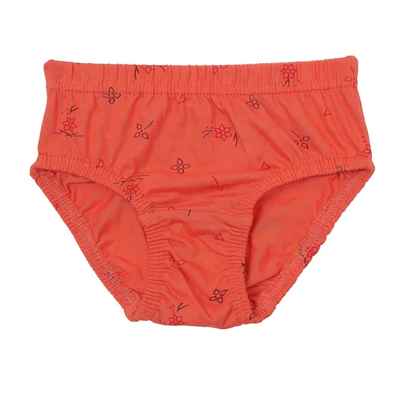 Multicolor_Cotton_Panties_For_Girl