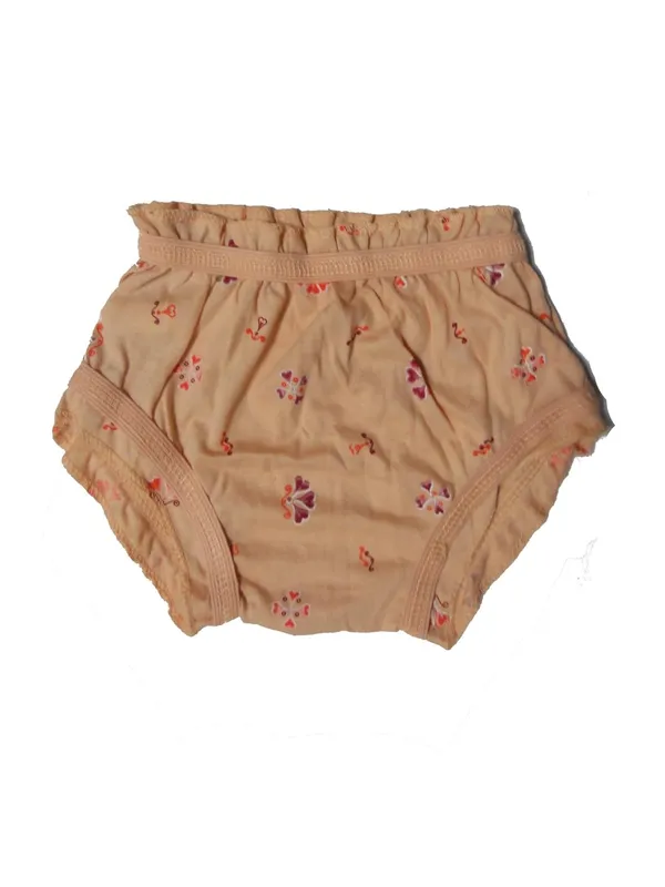 Multicoloured_Cotton_Panties_For_Girl