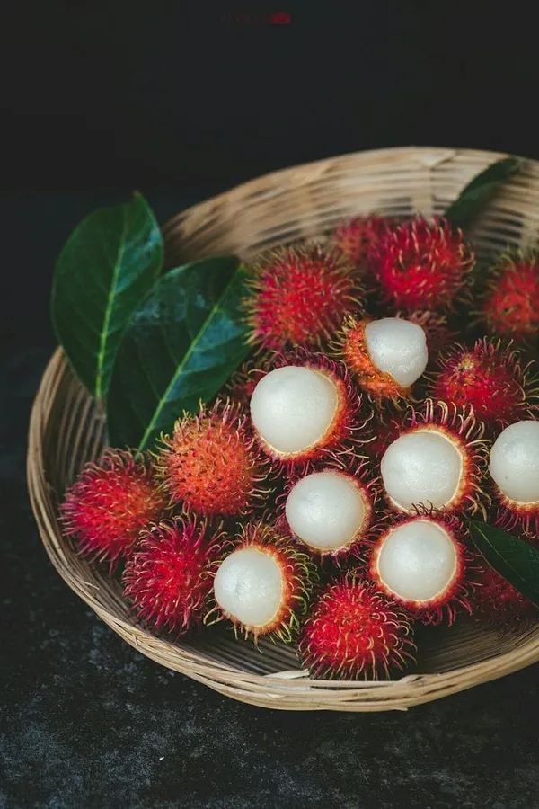 Red_Grafting_Rambutan_Fruit_Plant