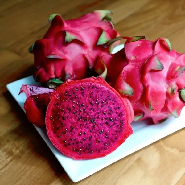 Pink_Hybrid__Dragon_Fruit_Plant