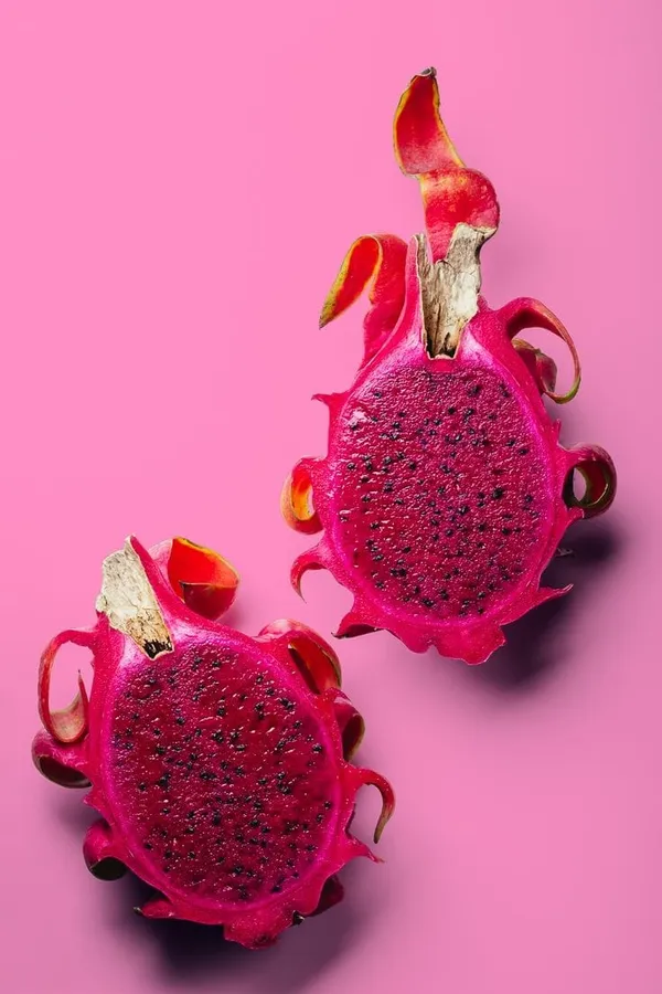 Pink_Hybrid__Dragon_Fruit_Plant