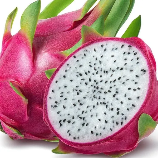 White_Hybrid__Dragon_Fruit_Plant