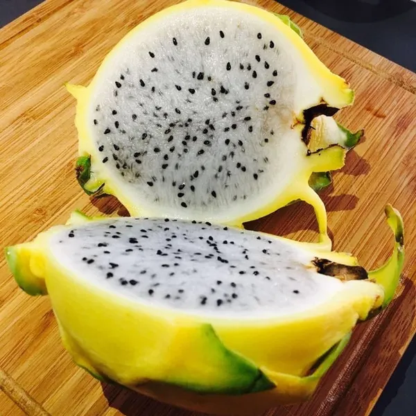Yellow_Hybrid__Dragon_Fruit_Plant