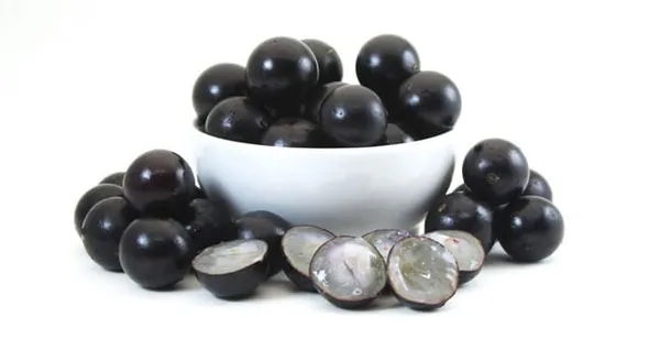 Black_Jaboticaba_Fruit_Plant