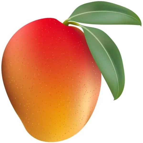 Orange_Mango_Apple_|_Hybrid_Grafted_Plant