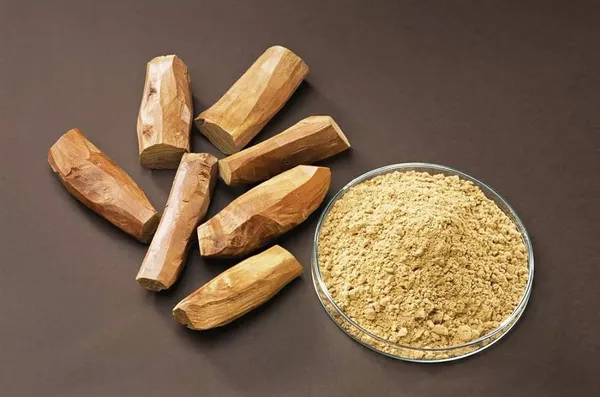 White_Rare__Sandalwood_Plant_|__Chandan_Plant
