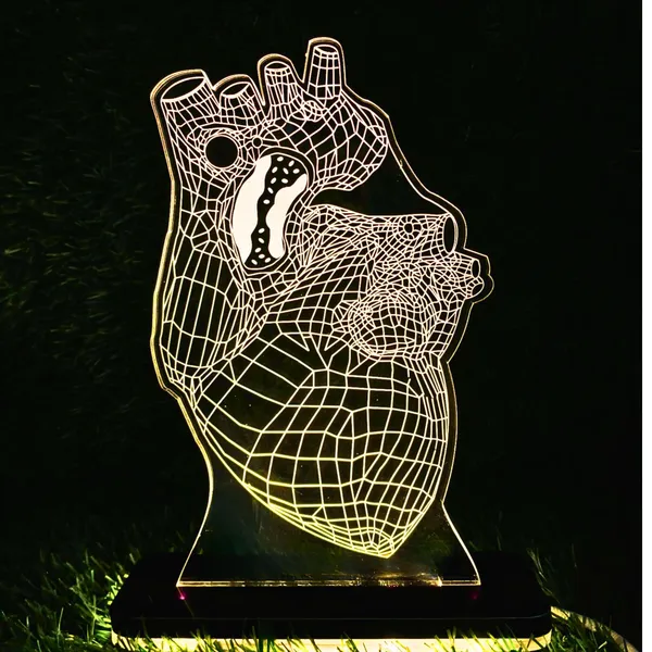 Multicolor_3D_Personalized_Heart_Night_Light_Gift_Led_Lamp,_Gift_for_Cardiologist_Heart_Specialist_Doctor,_Heart_Surgeon,_Medical_Student_Gift