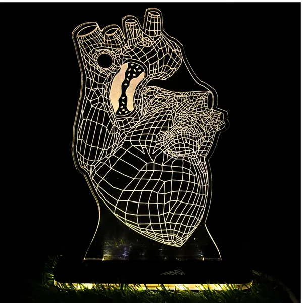 Multicolor_3D_Personalized_Heart_Night_Light_Gift_Led_Lamp,_Gift_for_Cardiologist_Heart_Specialist_Doctor,_Heart_Surgeon,_Medical_Student_Gift