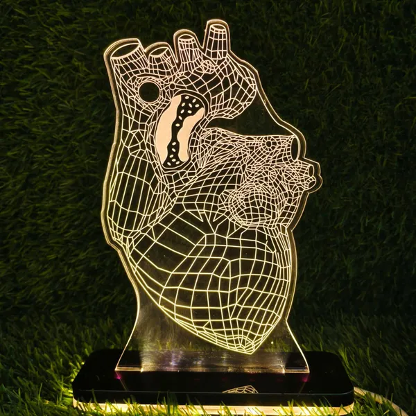 Multicolor_3D_Personalized_Heart_Night_Light_Gift_Led_Lamp,_Gift_for_Cardiologist_Heart_Specialist_Doctor,_Heart_Surgeon,_Medical_Student_Gift