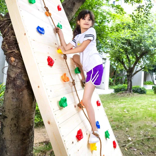 Rock_Climbing_Holds_|_Colorful_12_Pieces_Textured_Grips