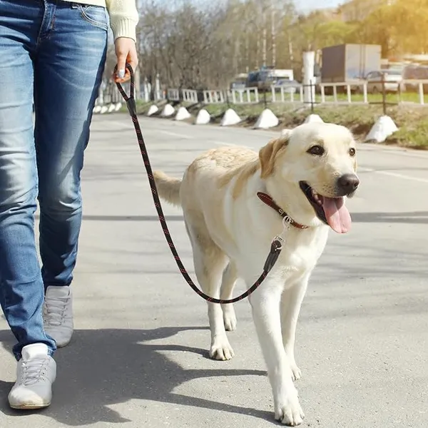 Black_Nylon_Heavy_Duty_Nylon_Dog_Leash_|_Anti_Slip_Padded_Handle_Long_Dog_Leash_|_Highly_Reflective_Leash_For_Dogs_|_Dog_Rope_For_Medium_&_Large_Dogs_|_Dog_Training_Leash