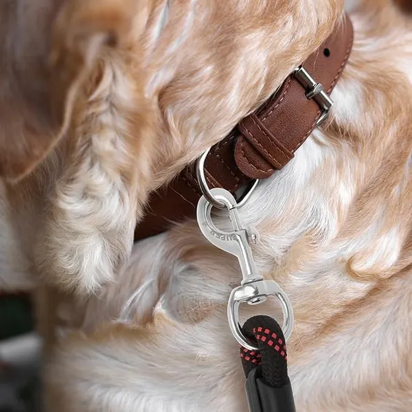 Black_Nylon_Heavy_Duty_Nylon_Dog_Leash_|_Anti_Slip_Padded_Handle_Long_Dog_Leash_|_Highly_Reflective_Leash_For_Dogs_|_Dog_Rope_For_Medium_&_Large_Dogs_|_Dog_Training_Leash