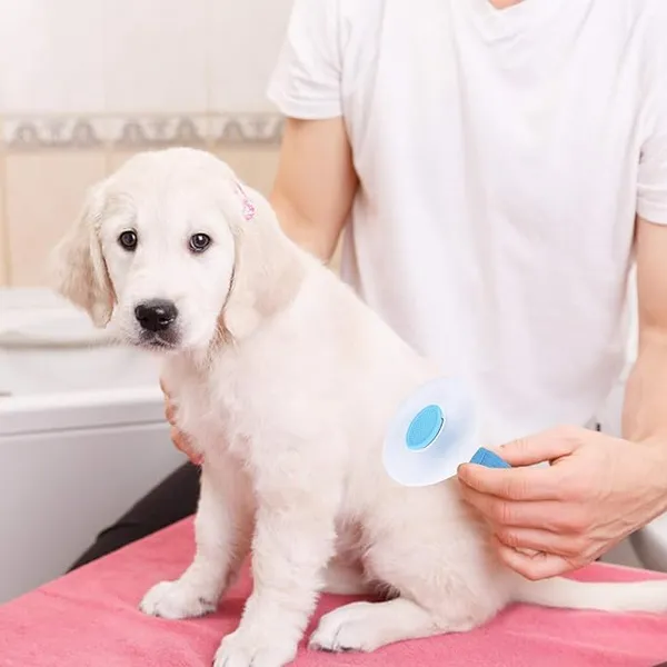 Blue_&_White_Metal_Self_Cleaning_Slicker_Brush,_Pet_Grooming_Shedding_Brush_For_Dogs_And_Cats_-_Easy_To_Remove_Loose_Undercoat,_Pet_Massaging_Tool_Suitable_For_Pets_With_Long_Or_Short_Hair