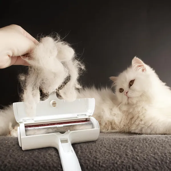 White_Nylon_Pet_Hair_Remover_-_Best_Dog_Accessories_For_Puppy_-_Lint_Roller_-_Remove_Dog,_Cat_Fur_From_Furniture,_Carpets,_Bedding_Clothing