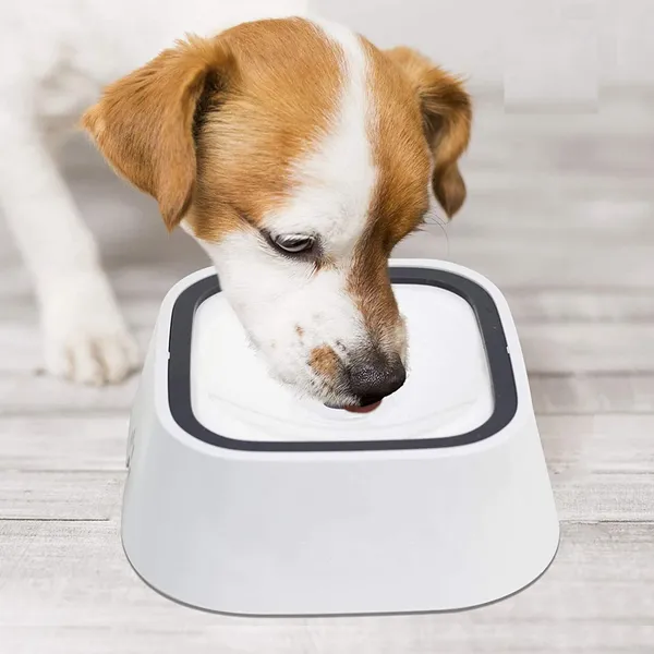 White_Plastic_Dog_Water_Bowl_Non_Spill,_1.5L_Large_Pet_Water_Bowl_With_Filter,_Slow_Water_Feeder_Vehicle_Carried_Splash_Free_For_Dogs_Cats_Pets,_Floating_Disk