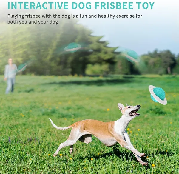 Dog_Ball_Toys_For_Aggressive_Chewers,_Interactive_Fetch_Dog_Ball_With_Fun_Squeaky_Giggle_Sound,_Non-Toxic_Elastic_Rubber_Pet_Chew_Toys,_Dog_Gift_For_Medium_/_Big_Dogs_(Multicolor)