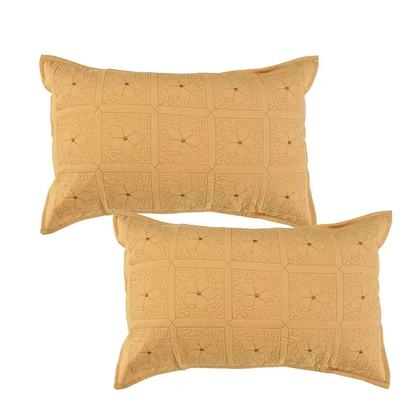 Set_Of_2_Piece_Beige_Boxy_Embroidery_Pillow_Covers__Zipper_Boxy_(_70*45_cm_)