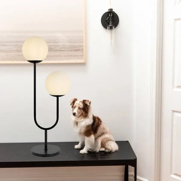 Avior_Black_Table_Lamp_For_Home_Decoration,_Desk_Light,_Study_Lamp,_Night_Lamp,_Bedise_Lamps_(Metal_&_Glass)_(2_Lights_Shades)