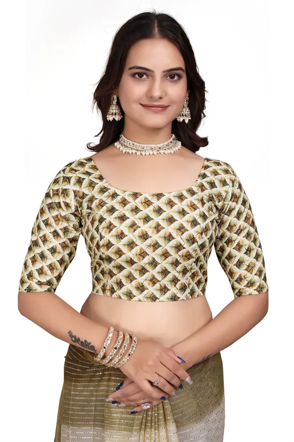 Chikoo_Designer_Fancy_Padding_Saree