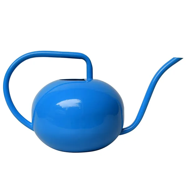 Blue_Premium_Garden_Watering_Can_For_Plants