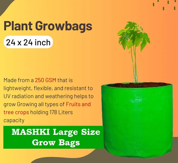 24"x24"_Breathable_Fabric_UV_Protection_Grow_Bag_(Pack_of_3)_Green_Terrace_Gardening_Grow_Bag_-_250_Gsm_Grow_Bag_For_Home_Gardening_-_Ideal_For_Large_Plants_Such_As_Dwarf_Mango,_Papaya,_Guava,_Apple,_And_More_|_MAQ