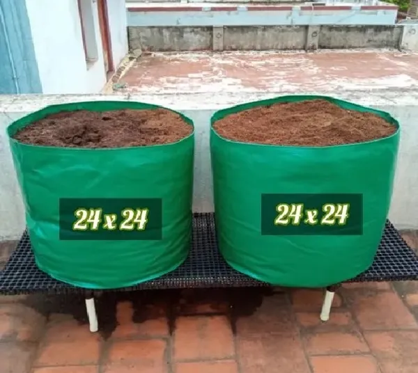 24"x24"_Breathable_Fabric_UV_Protection_Grow_Bag_(Pack_of_3)_Green_Terrace_Gardening_Grow_Bag_-_250_Gsm_Grow_Bag_For_Home_Gardening_-_Ideal_For_Large_Plants_Such_As_Dwarf_Mango,_Papaya,_Guava,_Apple,_And_More_|_MAQ