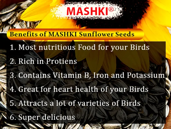 Mashki_Premium_Sunflower_Seeds_-_For_All_Birds_-_Dry_Bird_Food_For_Gray_Parrots,_Indian_Parrots,_Macaws,_Cockatoos,_And_Exotic_Birds