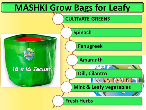 10"X10"_Breathable_Fabric_UV_Protection_Grow_Bag_-_240_Gsm_Grow_Bag_For_Home_Gardening_|_MAQ