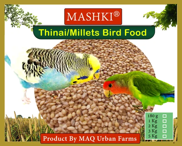 Mashki_Premium_Thinai_Kangni_Seed_-_Double_Cleaned_Korra,_Rala,_Thina,_Kang,_Kaon_Seeds,_Foxtail_Millet,_Koni_Dhaan,_Navane_Nutrition_Bird_Food_For_All_Birds