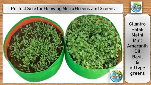 MAQ_12x6_Inches_Grow_Bags_For_Terrace_Gardening_-_240_Gsm,_Specially_Designed_For_Growing_Carrot,_Radish,_Spinach,_Mint,_Coriander,_Fenugreek,_And_More