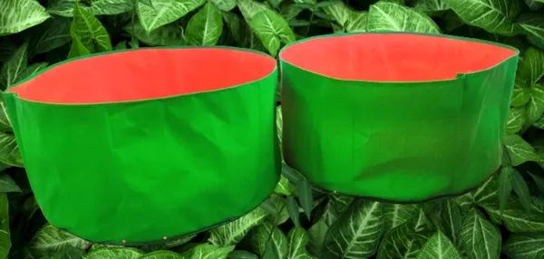 MAQ_12x9_Grow_Bags_For_Terrace_Gardening_-_240_Gsm,_Specially_Designed_For_Growing_Carrot,_Radish,_Spinach,_Mint,_Coriander,_Fenugreek,_And_More