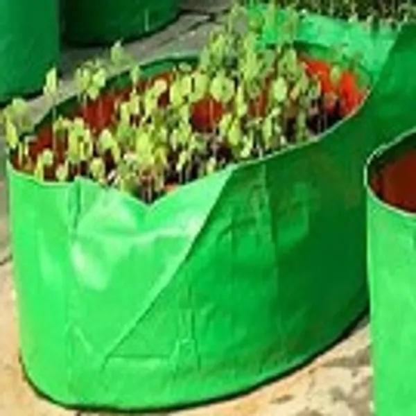 Pack_of_5,_10,_&_20_for_18"x6"_UV_Protectio_Grow_Bags_For_Terrace_Gardening_-_240_Gsm,_Specially_Designed_For_Growing_Spinach,_Mint,_Coriander,_Fenugreek,_And_More