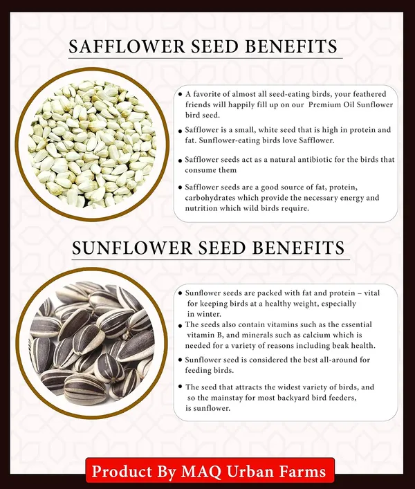 Mashki_Sunflower_And_Safflower_Rich_Nutrition_Mix_-_Daily_Bird_Food_With_Cleaned_Organic_Seeds,_Kusum_Beej,_And_Surajmukhi_Ke_Beej
