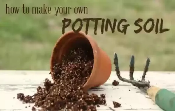 All-Purpose_Potting_Soil:_Ideal_Blend_of_Red_Soil,_Vermicompost,_Cocopeat_for_All_Indoor/Outdoor_Plants