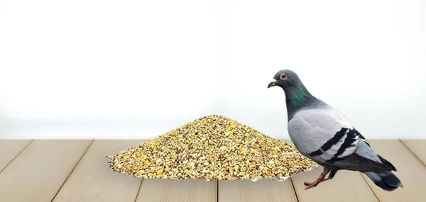 Premium_Food_Mix_For_Pigeons_&_Doves_(All_Types)_-_Multigrain,_Seed,_And_Maize_Blend_With_Essential_Ingredients_For_All_Life_Stages