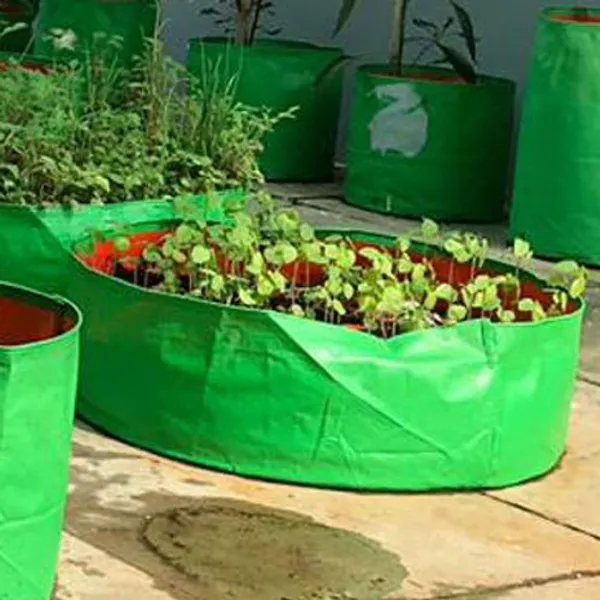 Pack_of_5,_10_for_10"x6"_Breathable_Fabric_UV_Protection_Grow_Bags_For_Terrace_Gardening_-_240_Gsm,_Specially_Designed_For_Growing_Spinach,_Mint,_Coriander,_Fenugreek,_And_More_|_MAQ