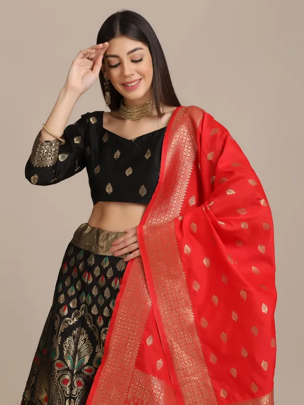 Black_Zari_Lehenga_Choli_With_Dupatta_For_Women