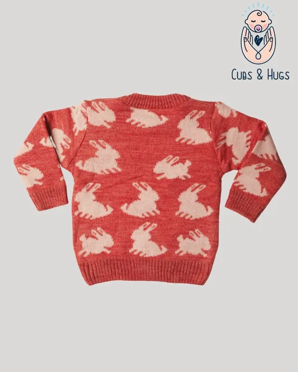 Pink_Woolen_Full_Sleeves_Baby_Sweater_Pullover_Cardigan