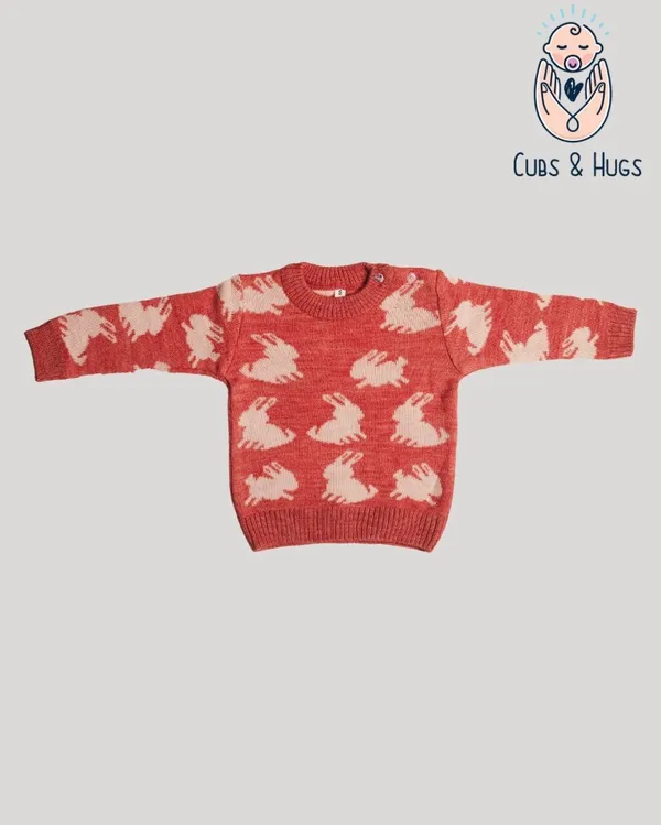 Pink_Woolen_Full_Sleeves_Baby_Sweater_Pullover_Cardigan